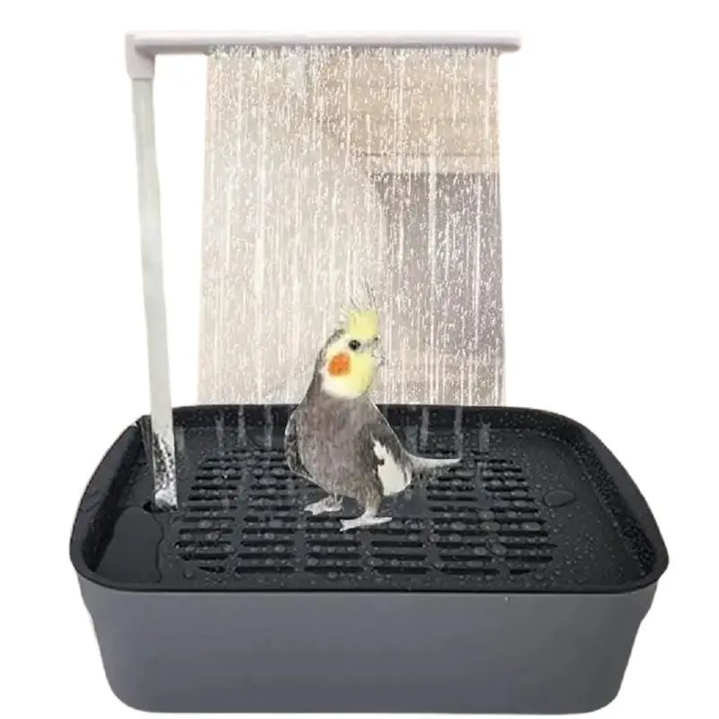 A84E-Bird Bathing A…