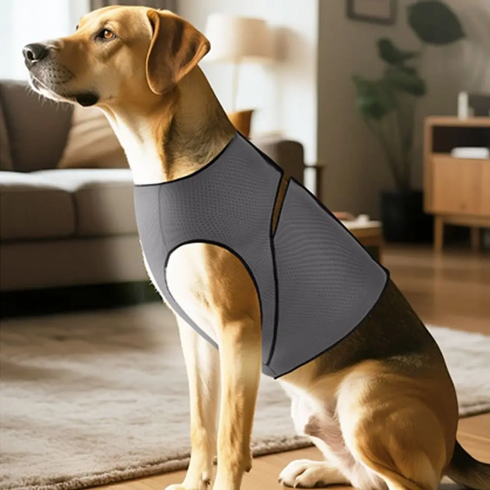 

Breathable Dog Anxiety Vest Adjustable Soft Dog Soothing Clothes Secure Comfortable Dog Chest Back Clothing For Dogs