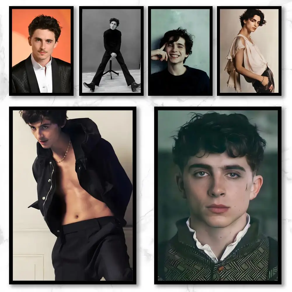 Celebrity T-Timothée Chalamet Poster Premium Art Wall Decor, Simple Ornament for Living and Leisure Areas