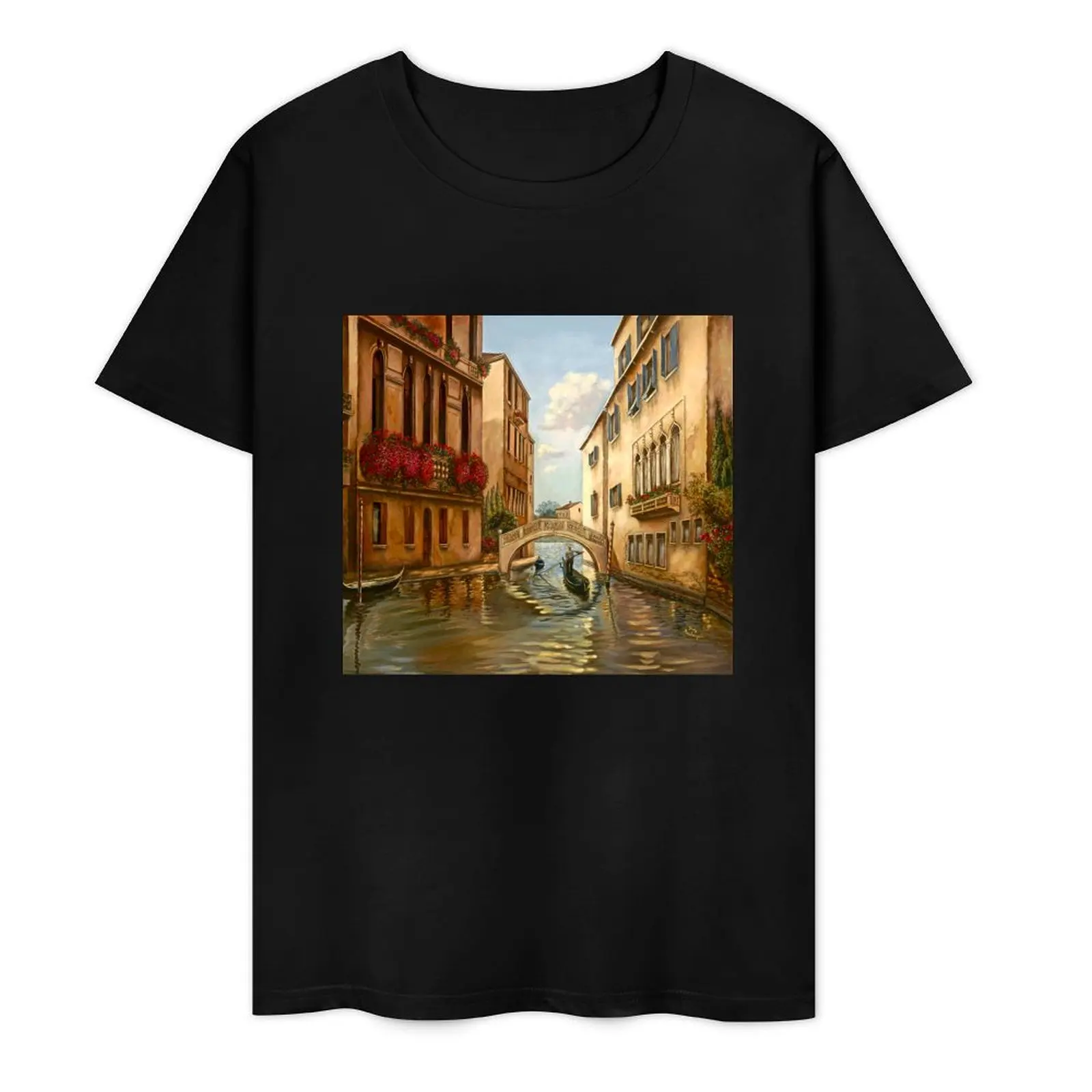 VENICE WITH BRIDGE T-Shirt essential t shirt baggy shirts anime figures vintage t shirts clothing for men