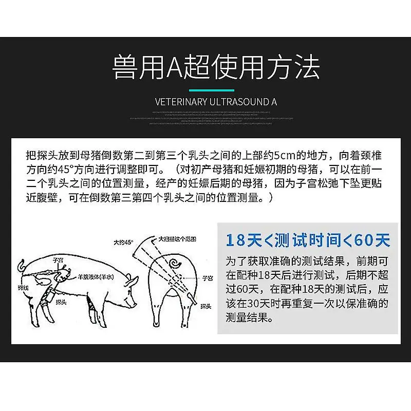 Animal A ultrasound pregnancy detection device Flat A ultrasound artificial pregnancy detection device for pigs, cows, and sheep