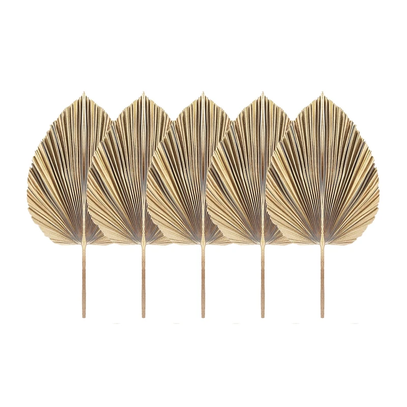 5Pcs Natural Dried Palm Leaves Tropical Dried Palm Fans Boho Dry Leaves Decor for Home Kitchen Wedding-A50M - Detail 1