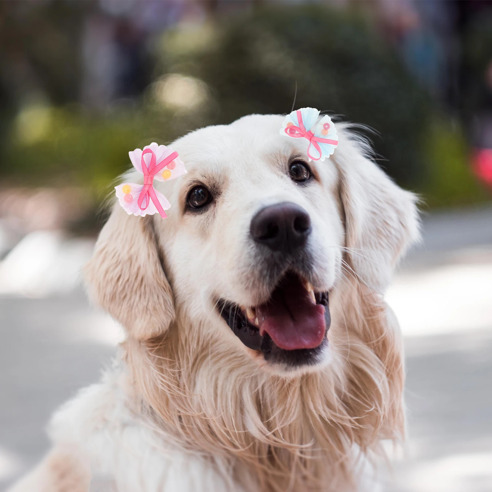 

50 Pcs Dog Headdress Hair Card Decorative Grooming Bows Small Pet Tie Pets Accessories Bowties for Dogs Ribbon