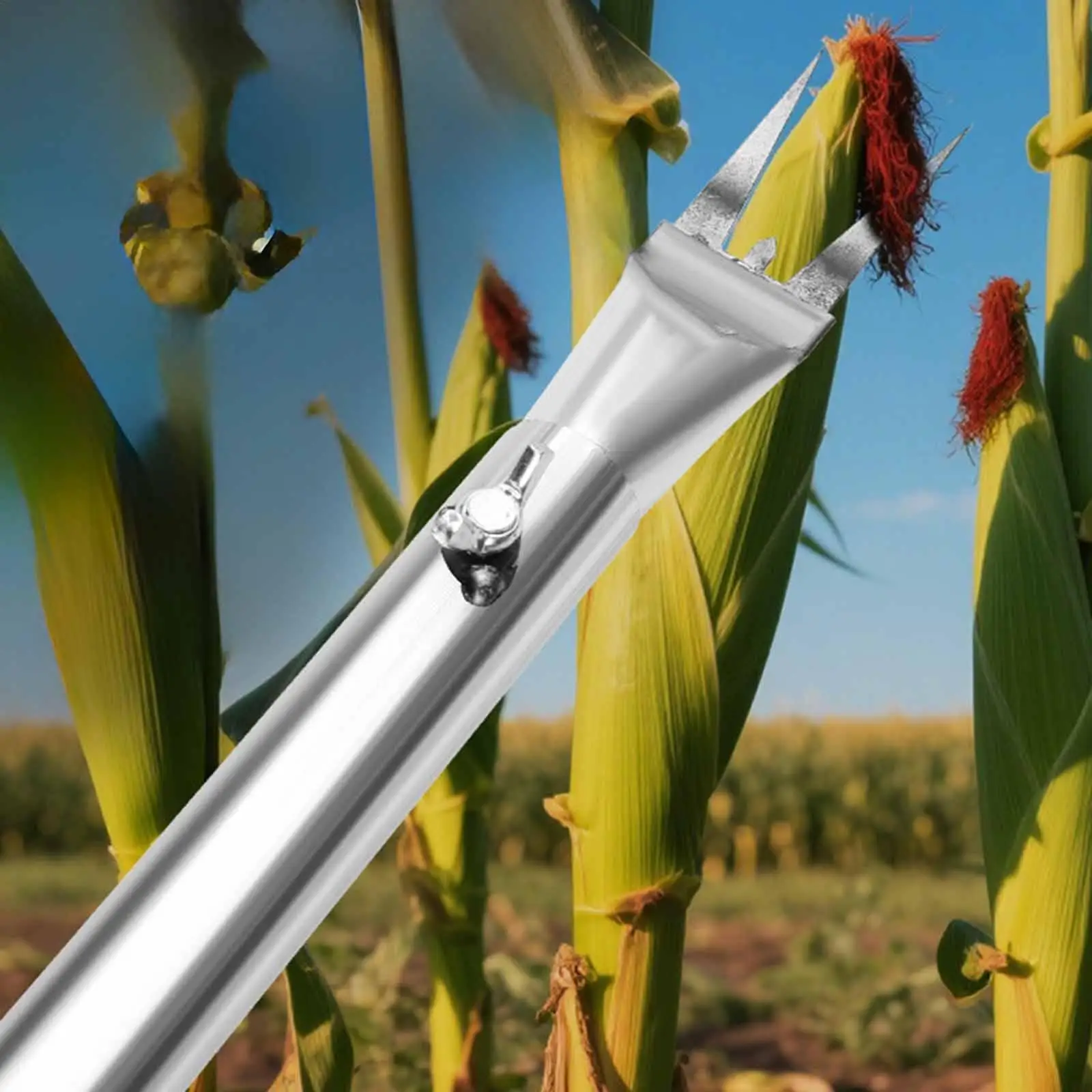 Corn Corn on The COB Remover Easy to Clean Stainless Steel Seedling Removal Tool Sprout Peeling Tool for Fruit Garden