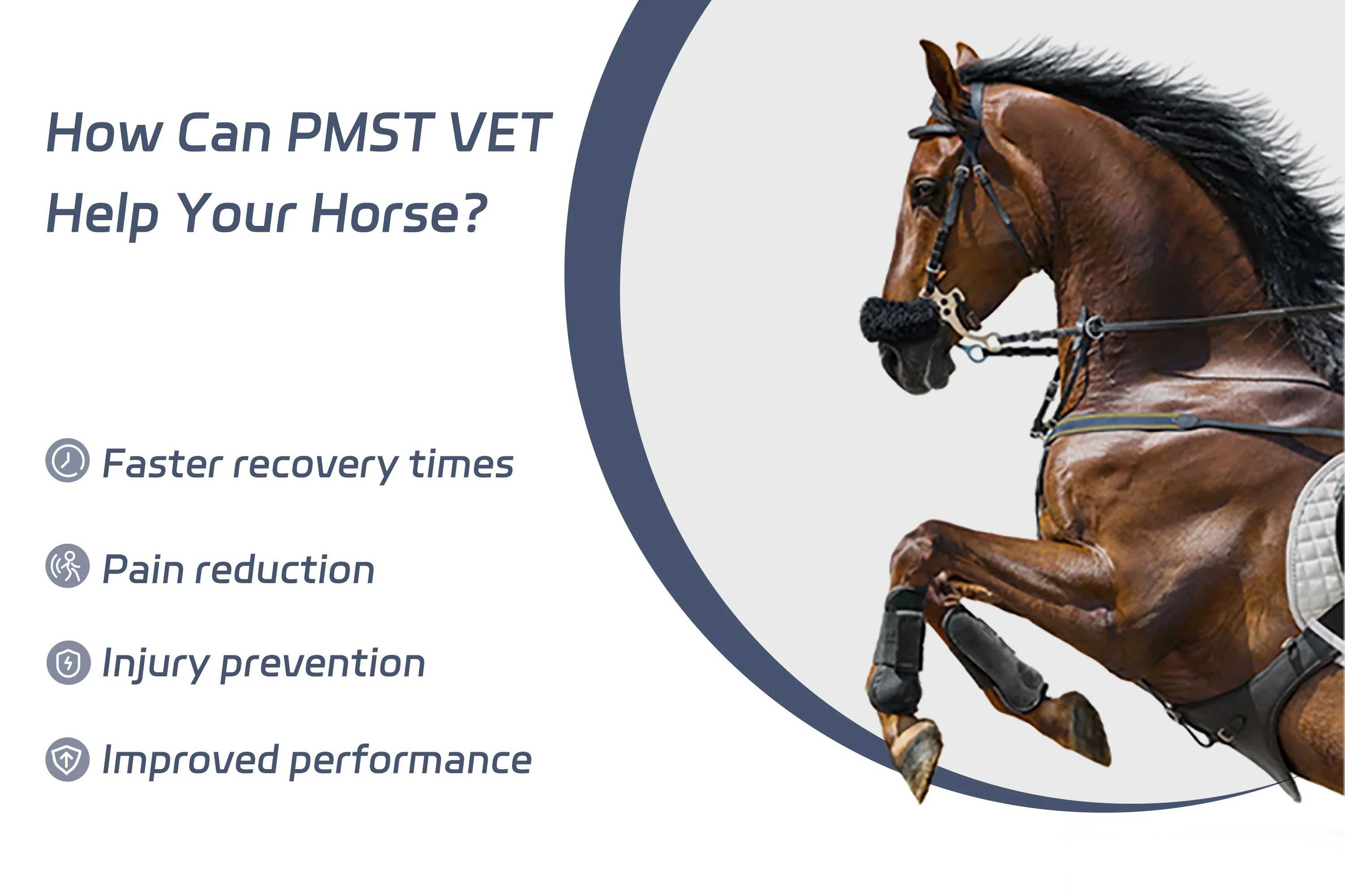 Horse Pain Relief-Safe & Reliable Genwave PMST Vet Physical PEMF Magnetic Device with NIRS Red Light for