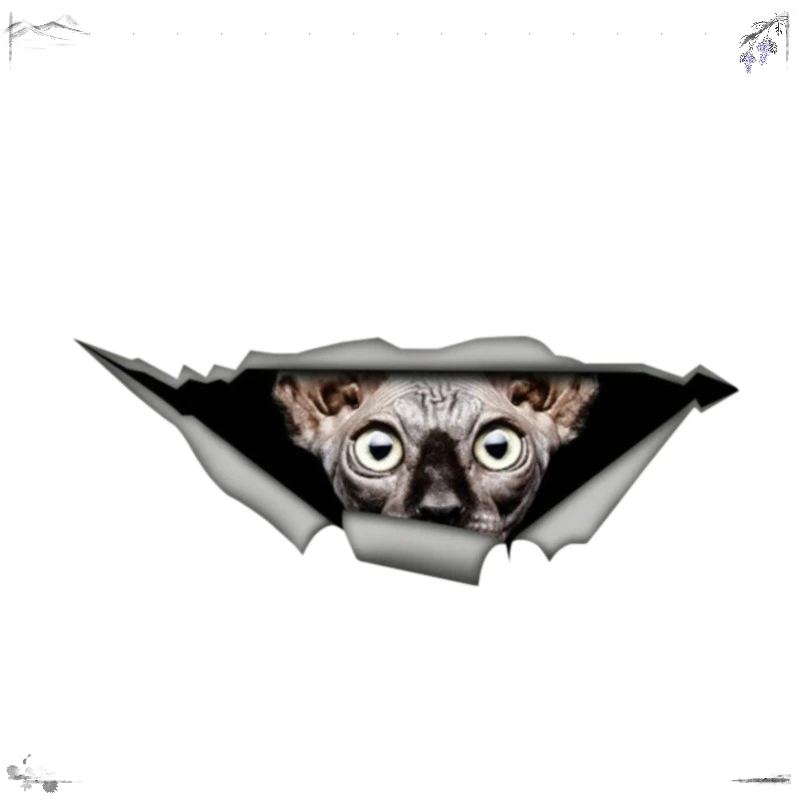 

13X5CM Exterior Accessories Sphynx Cat Sticker 3D Pet Graphic Vinyl Decal Car Window Bumper Laptop Stickers,PVC