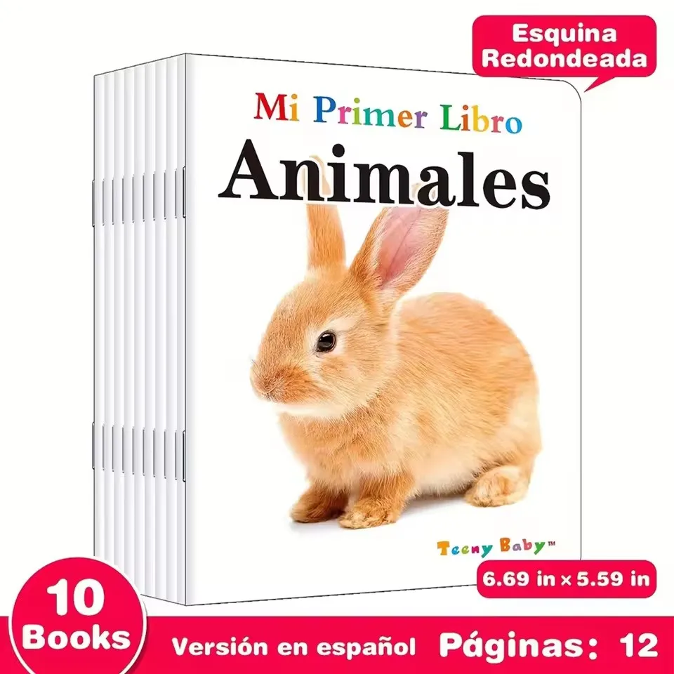 Set of 10 Spanish Baby Flip Books Visual Learning Tools for Children's Gifts Enhance Cognitive Skills