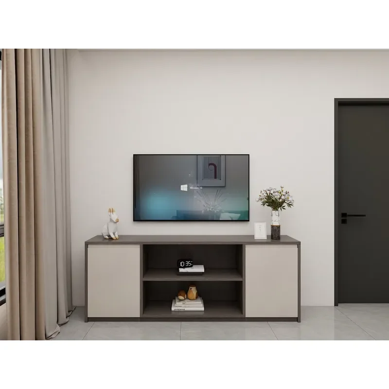 Modern living room custom furniture set | Simple TV cabinet and sofa combination design