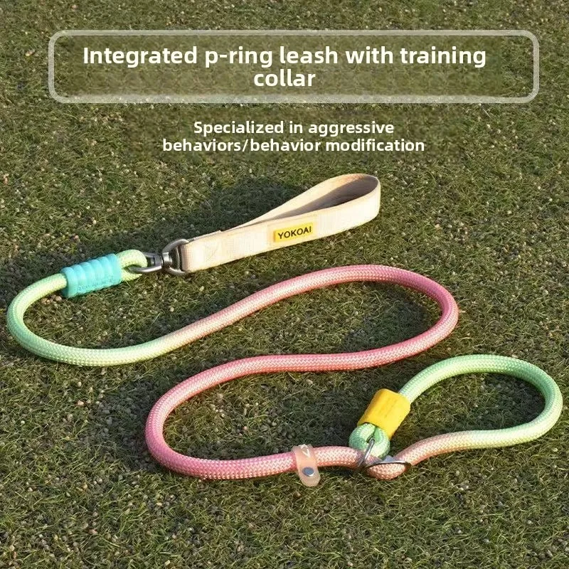 Dog Leash Anti-Tangle Pet Traction Rope for Medium to Large Dogs Polyester Material Non-Stretch Proof