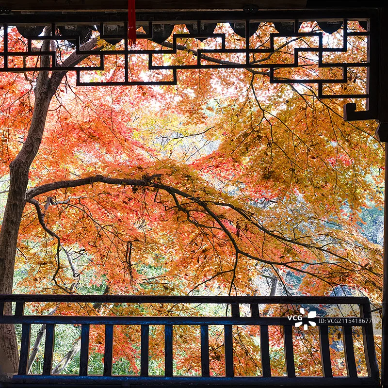 Jx Servo PDI-4503HB…