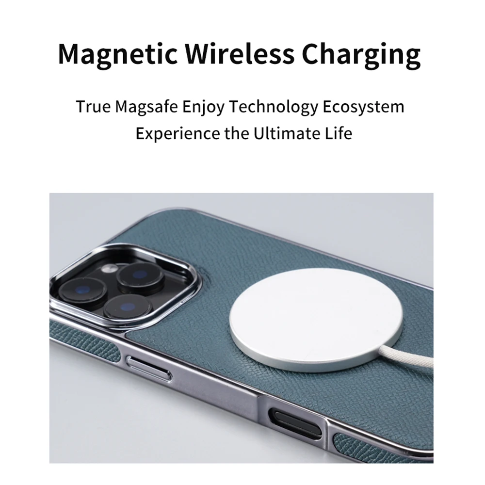 for Magsafe Case for iPhone 15 16 Pro Max Promax 16Pro 15Pro Natural Cowhide Leather Luxury Plating Logo Hole Back Cover view 4
