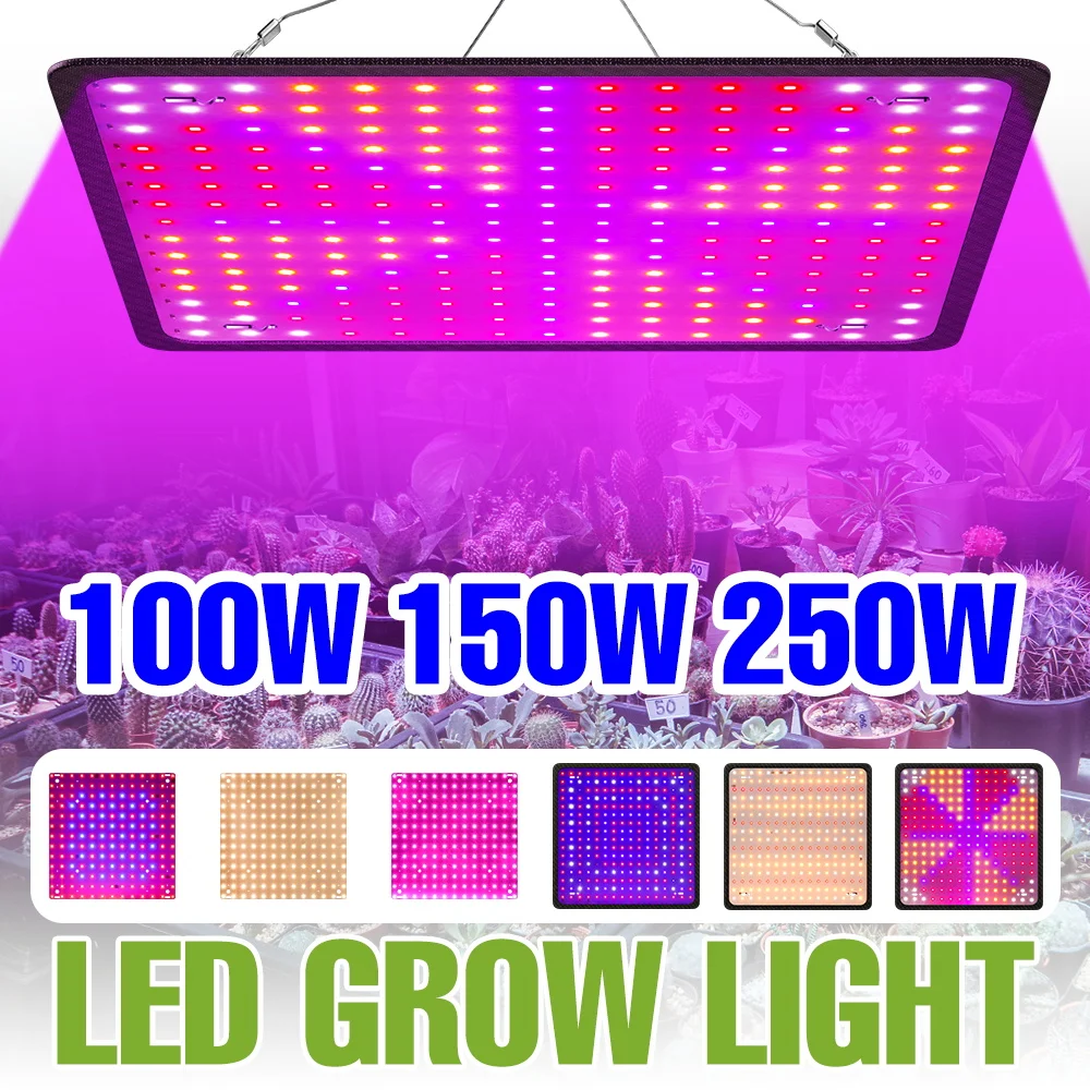 

250W Full Spectrum Grow Light LED Quantum Board Plant Fill Lamp UV/IR Greenhouse Tent Vegs Succulent Seeding Cultivation Lamps