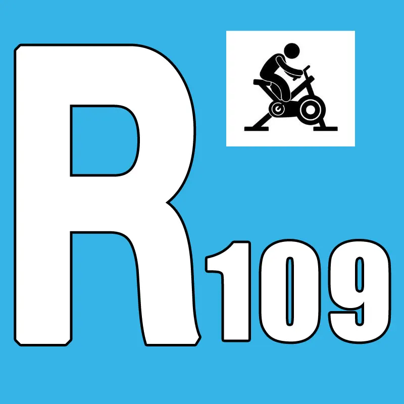Hot Sale 2026.Q1 New Course Indoor Bicycle R109 Boxed