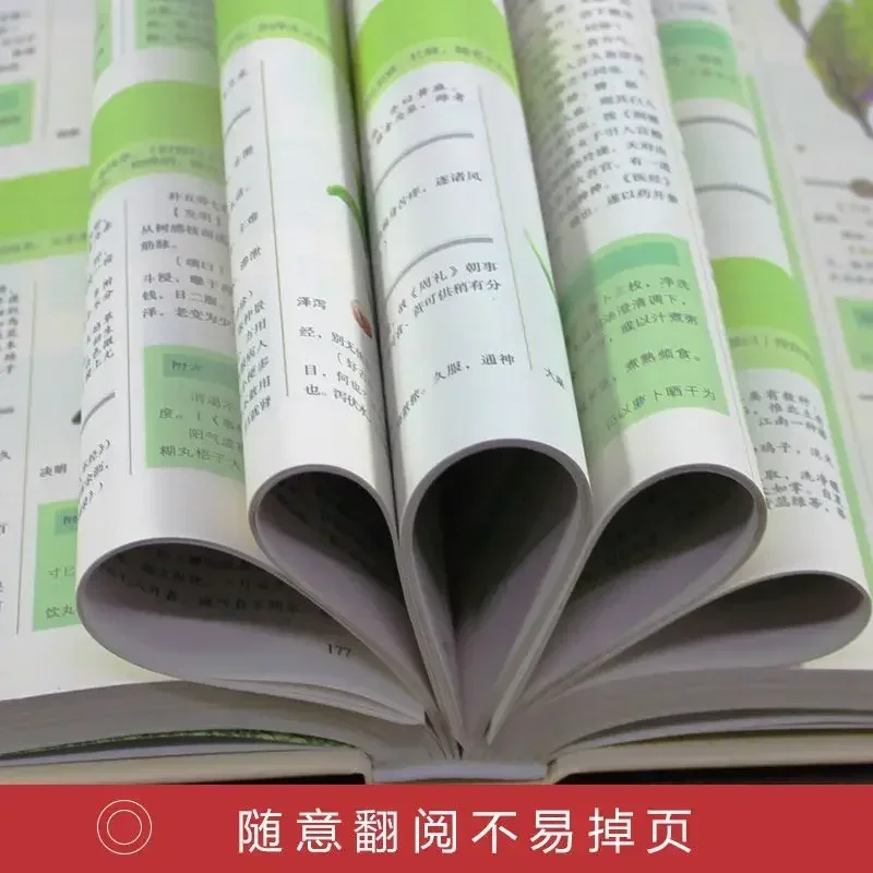 Compendio de Materia Medica Ben Cao Gang Mu Edición Legal Impresión en Color Libro ilustrado original de Li Shizhen