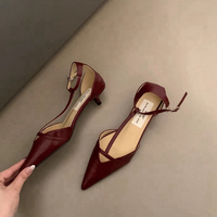Spring autumn New Women Sandal Fashion Pointed Toe Shallow Ladies Elegant Slingback Shoes Thin Low Heel Outdoor Dress Pumps