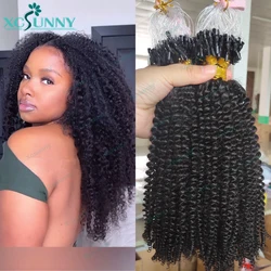 Kinky Curly Microlinks Hair Extensions Double Drawn Burmese Micro Loop Ring Human Hair Extensions Curly For Black Women