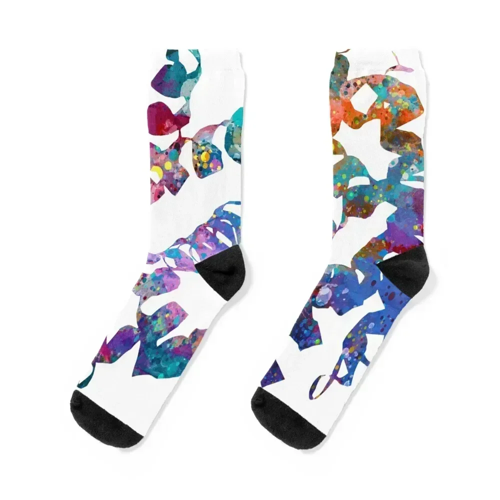 Hemoglobin Protein Structure of Red Blood Cell Socks moving stockings professional running Stockings man Men's Socks Woman Men's