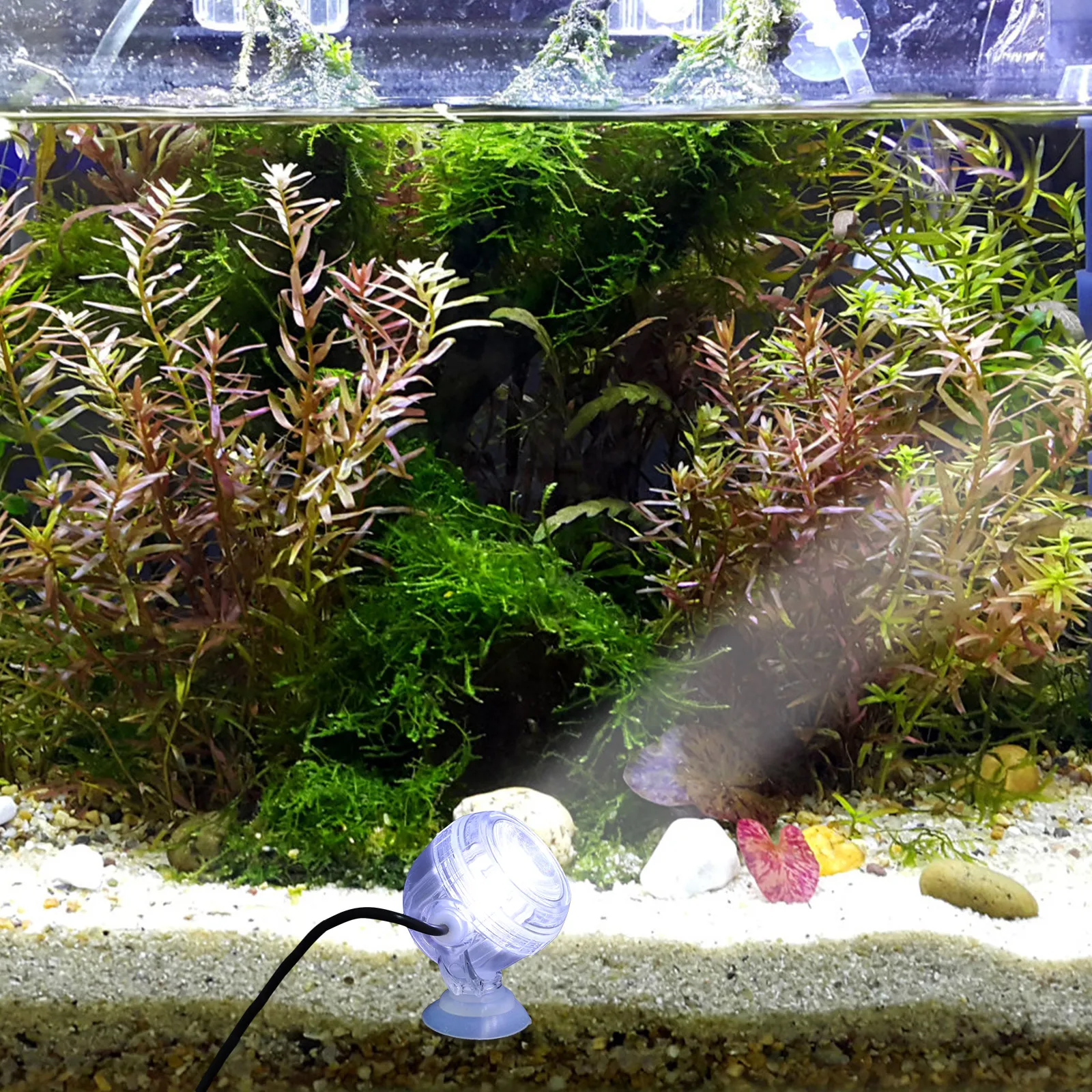 

Fish Tank Spotlight Aquarium Accessories Decorations USB Night Lamp Led Abs Bowl