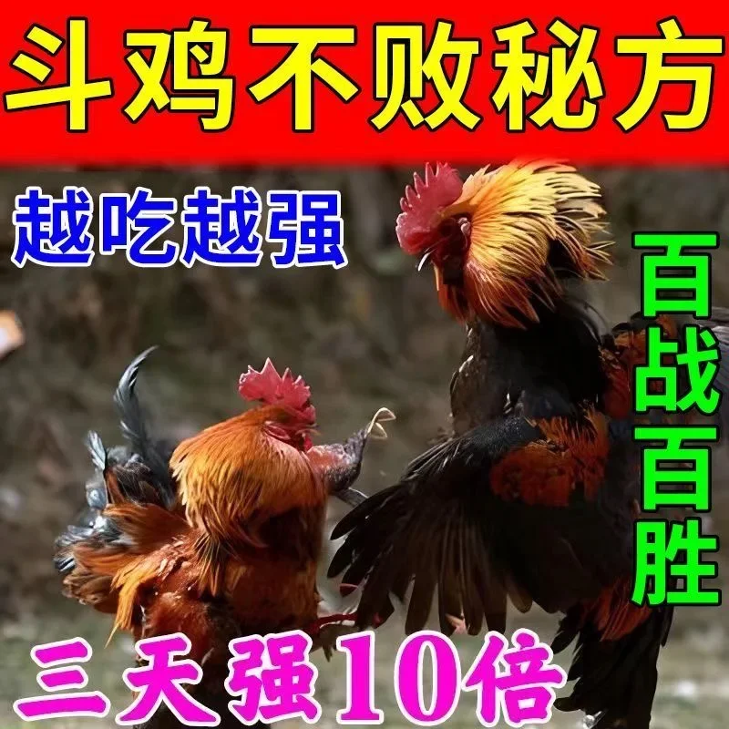 Fighting chicken special food nutritious snacks improve outbreak rapid muscle enhancement immune growth promotion fur red bright