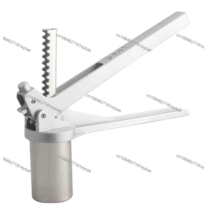 Máquina Manual de Fazer Macarrão em Aço Inoxidável com Cortador e 7 Moldes para Macarrão