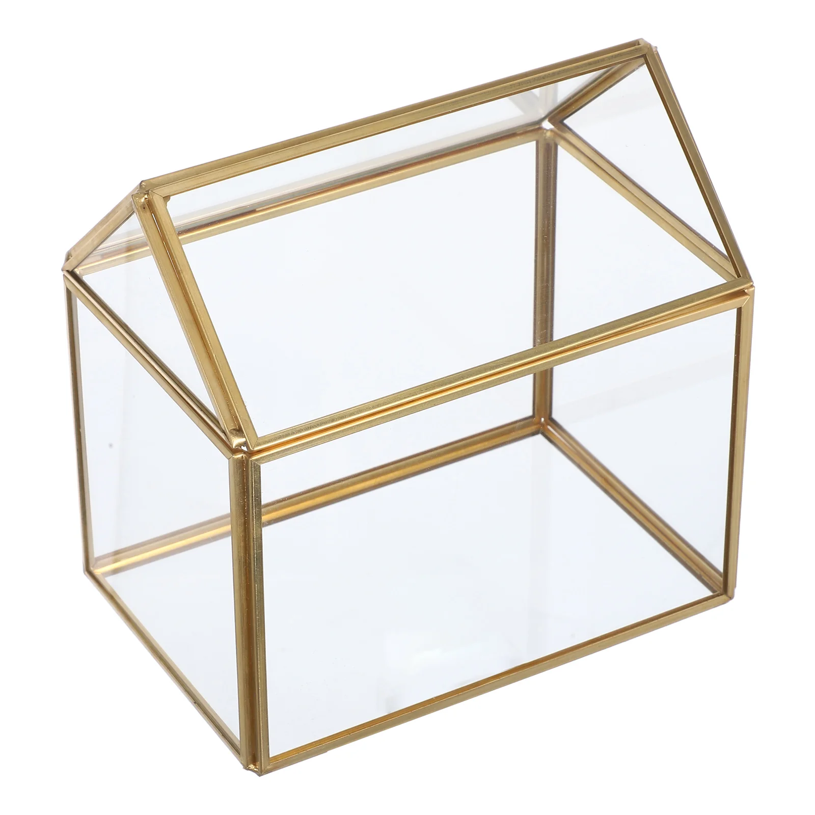 

Handmade Glass Terrarium Planter with Lid Indoor Tabletop Greenhouse for Succulents Cacti Moss Ferns Geometric Plant Display