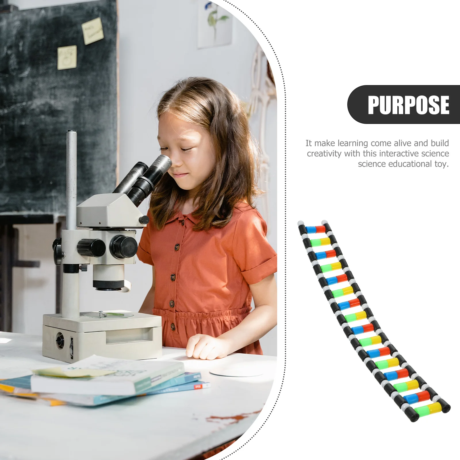 Double Helix Model Dna Structure Architecture Kits 3d Teaching Aids Animal Parent-child