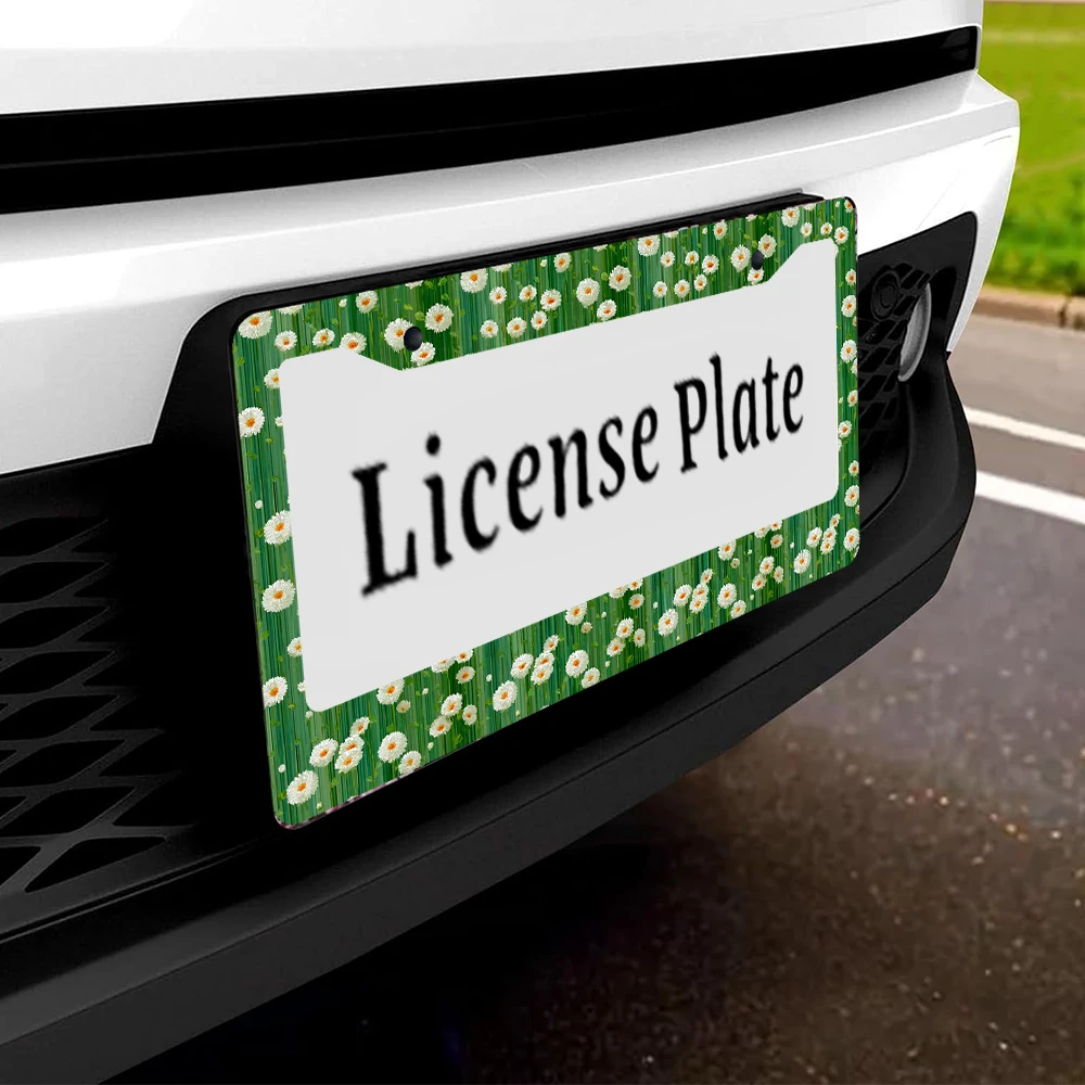 1 قطعة إطار لوحة ترخيص بنمط ديزي باللونين الأخضر والأبيض بفتحتين، مادة ألومنيوم، 6 × 12 بوصة، مع طقم براغي، ريترو، متعة، سيارة D