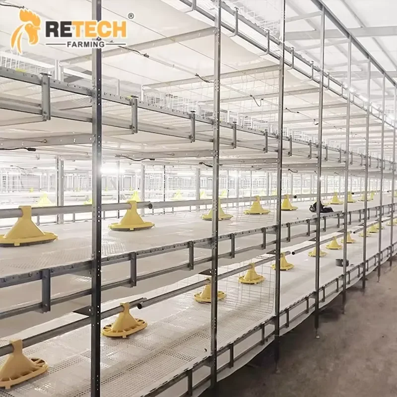 Hot Dip Galvanized Large Capacity Chain Type Harvesting Broiler Battery Cage Equipment with Automatic Feeding and Drinking