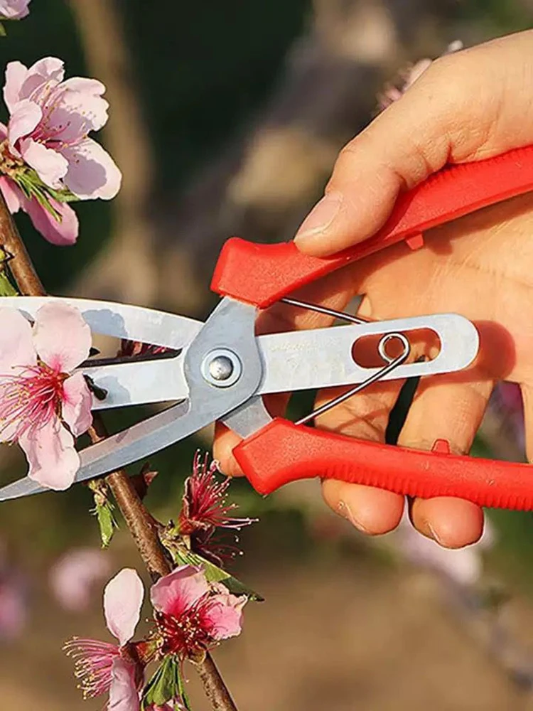 Double-edged Fruit Picking Scissors Citrus Tree Flower Cultivating Solid Multi-use Pruning Fruit Tree Pruni Garden Pruner Shears