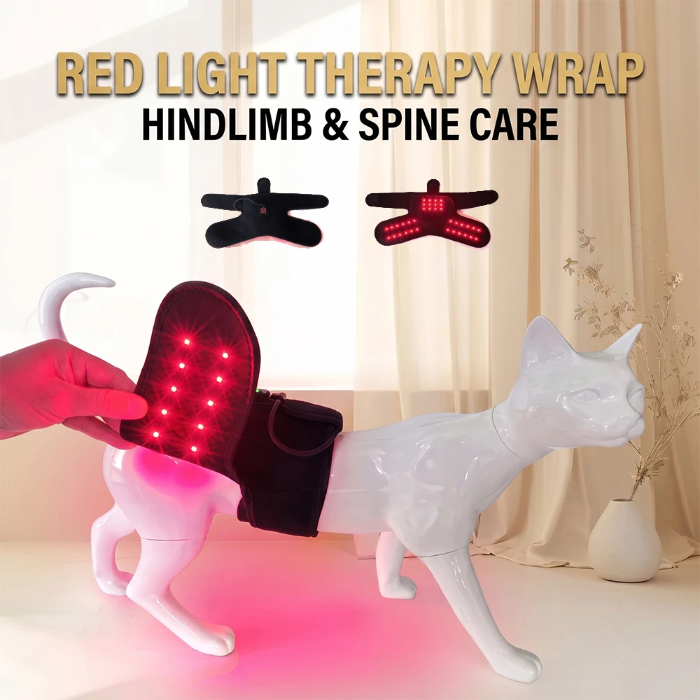 cinturon-de-terapia-de-luz-roja-para-perros-660nm-850nm-infrarrojo-cercano-alivio-del-dolor-articular-cuidado-de-la-rotula-soporte-para-la-circulacion-sanguinea-animal