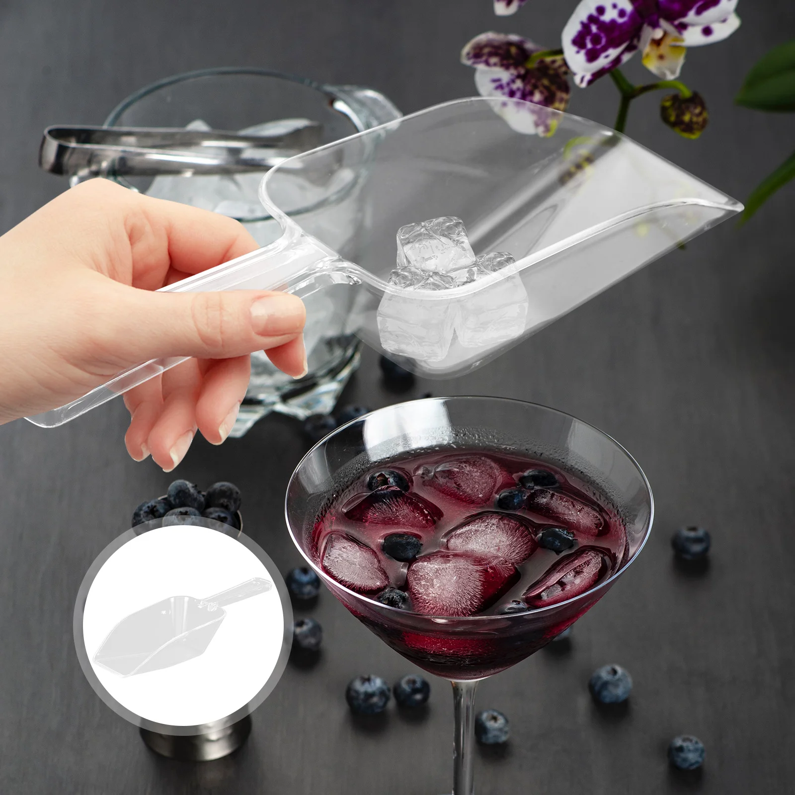 

4 pcs Measuring Cup Scoop Plastic Shovel Clear Scoopers for Pet Food Grain Serving Easy Use Lightweight