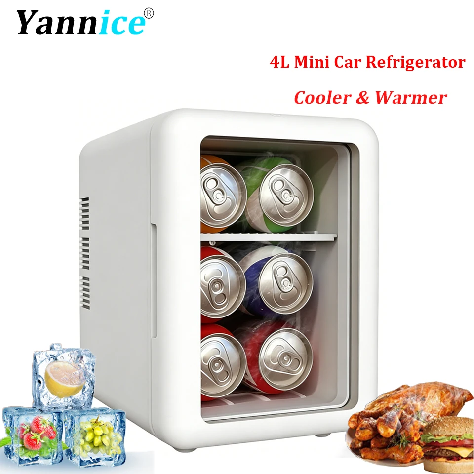 Mini Fridge With Tr…