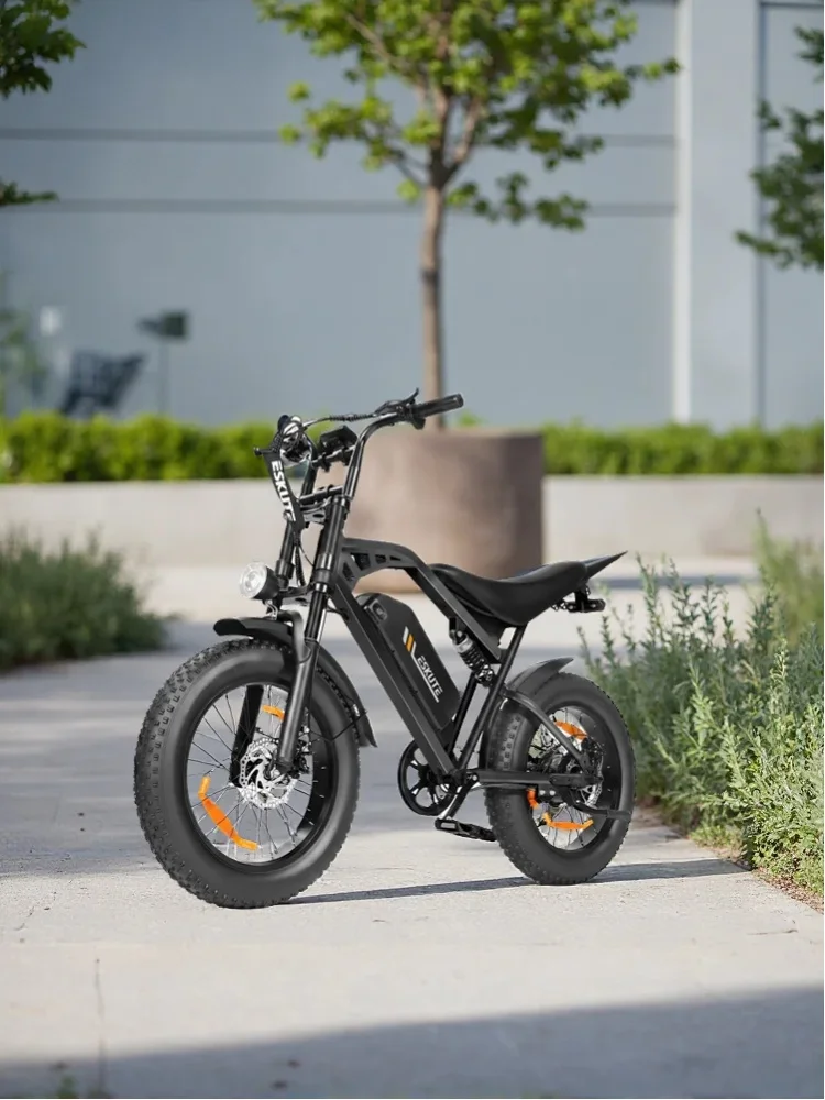 ESKUTE V202 Erwachsenen-Elektrofahrrad 250W Leistung Allterrain-Elektrofahrrad 48V20.8AH Akku 20*4.0 Zoll Allterrain-Reifen Elektrofahrrad