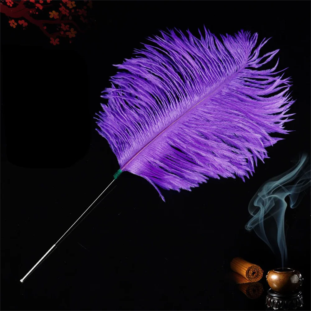 Ostrich Feather Earpick Wax Remover Silver Needle Curette Adult Ear Dig Tools Spoon Cleaner Stick Health Care Ear Pick Tools