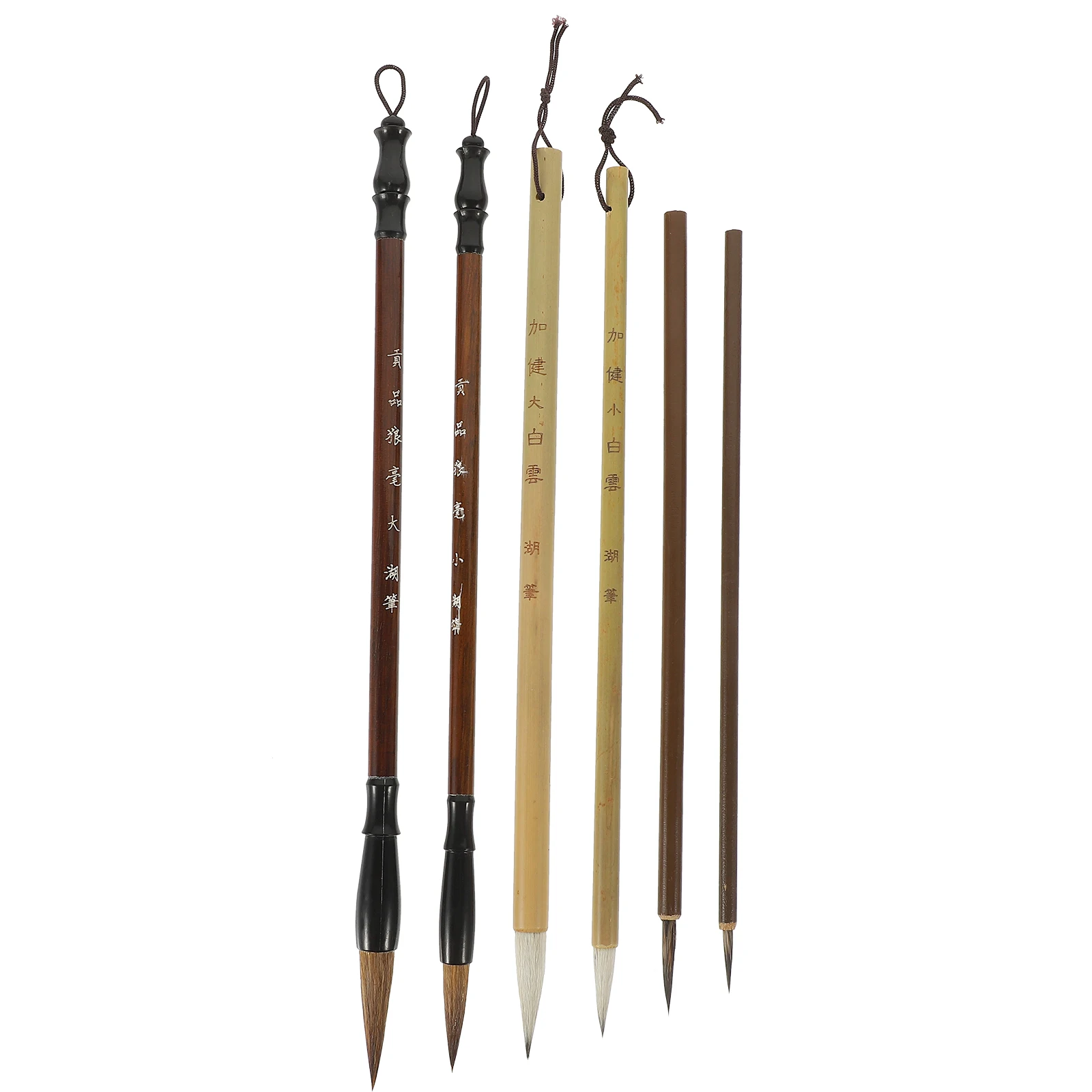 

6 Pcs Brush Set Drawing Chinese Calligraphy Brushes Pens Ink Traditional Painting