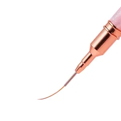 2PCS Nail Art Liner Brushes Gel Nail Brush Gel Nail Polish Painting Brush Nail Art Design Brush Pen Set Drawing Pen for Gel