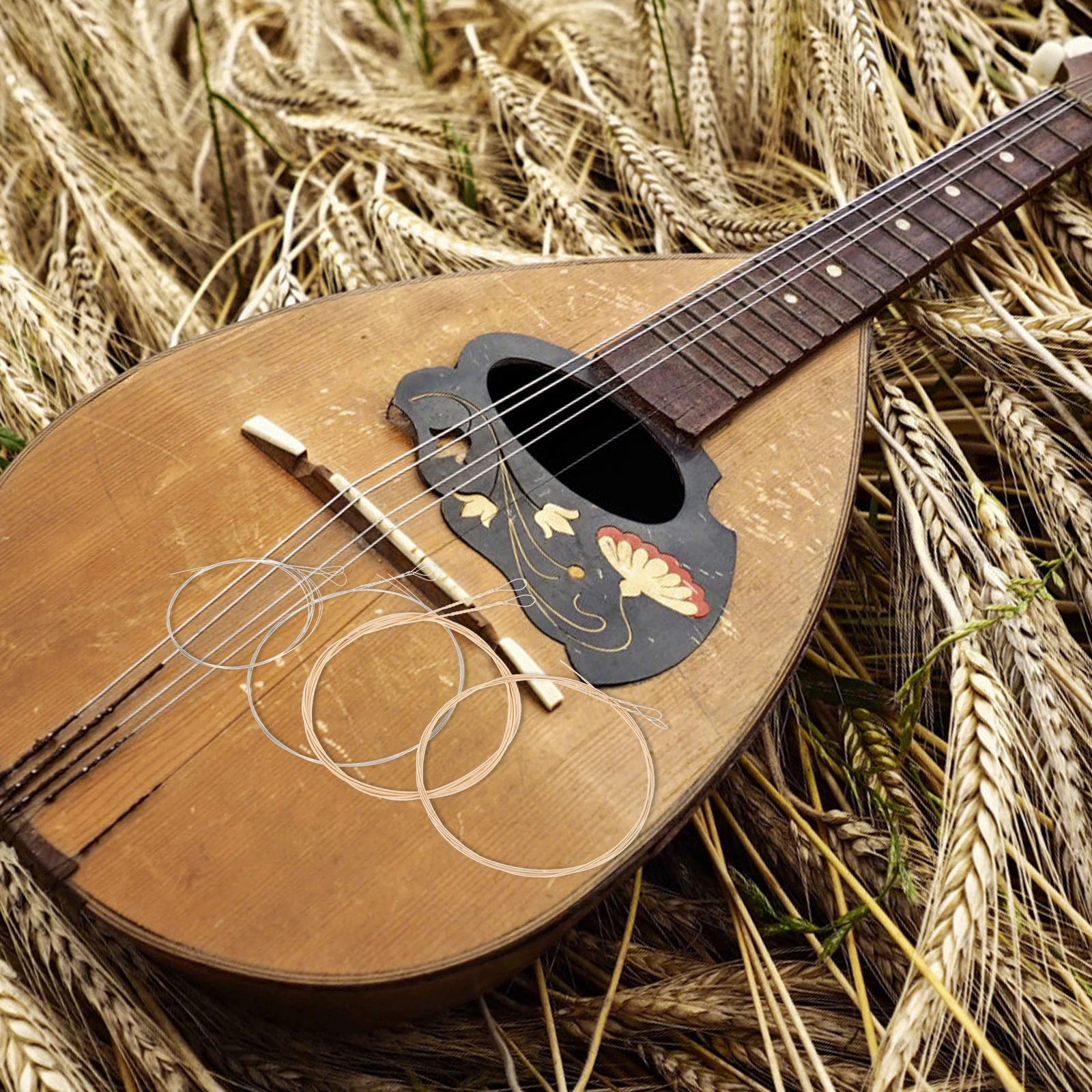 

Mandolin Strings Replacement Steel Instrument Accessories Guitar Accessory Wire Parts Bright Golden