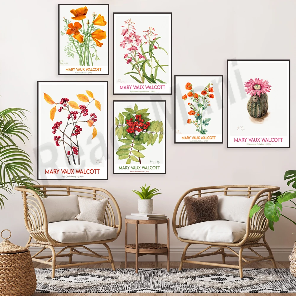 Mary Walkers Walcott floral print, berries, California poppies, red lilies, autumn leaves, wildflowers, flowers, botanical poste