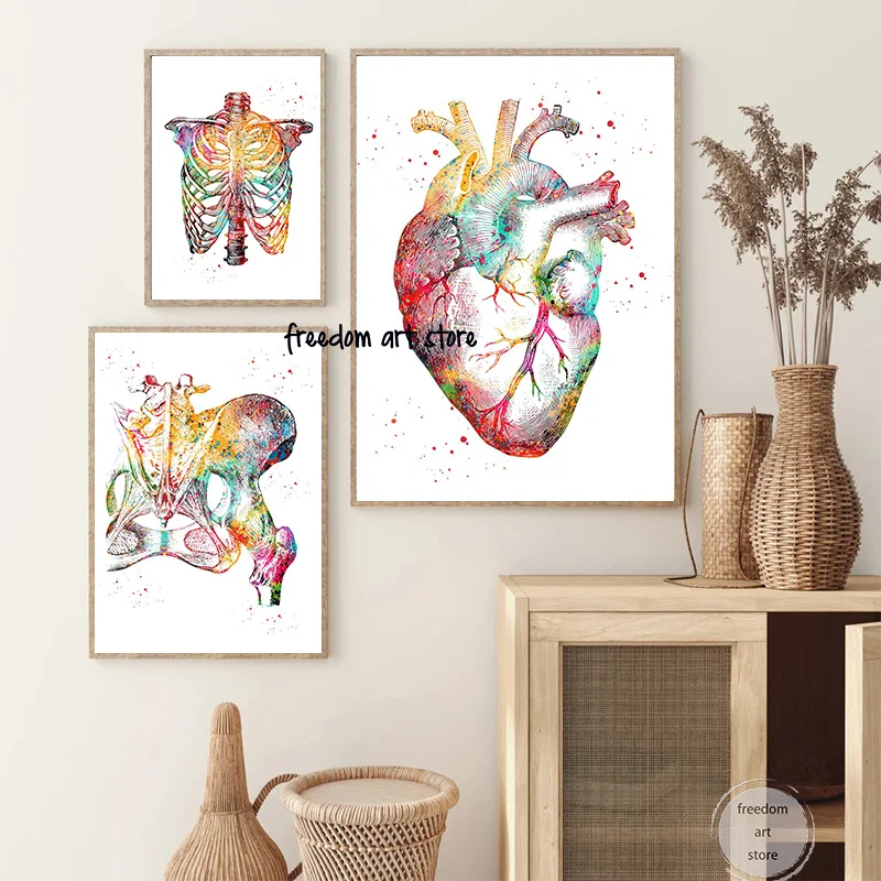 Muscles Back Brain Nervous System Bones and Muscles Heart Art Posters Canvas Painting Wall Prints Pictures for Clinic Home Decor