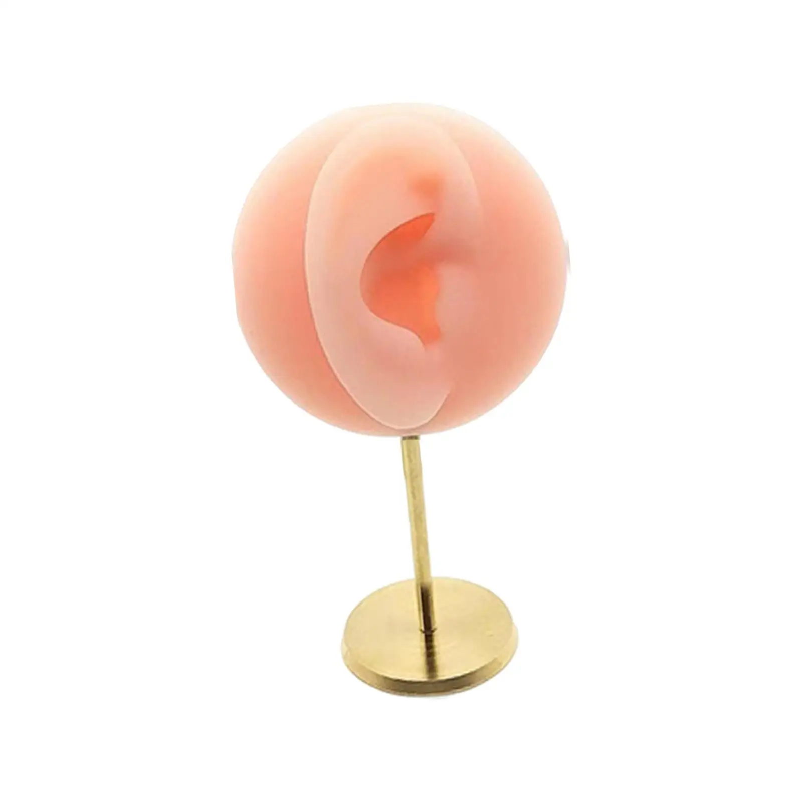 Silicone Earring Stand Holder with Simulated Ear Model for Jewelry Display Photography Props Organizer Tabletop Rack