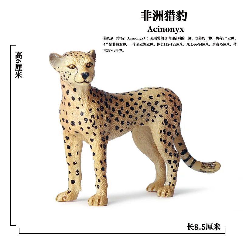 Wildlife Model Children Toys Animal Growth Cycle Jaguars Cheetahs African Leopard Bull Panda Hippo Elephant Ornament Set Figures