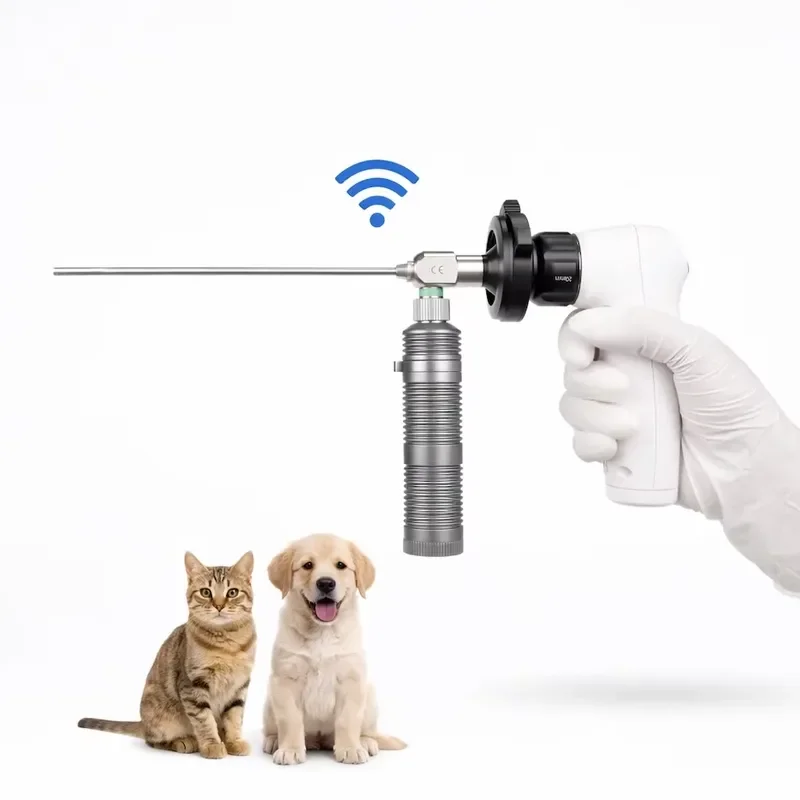Handheld FHD Veterinary Endoscopy Equipment for Rigid Endoscope with Replaceable Li-Ion Battery for Small Animal Surgery