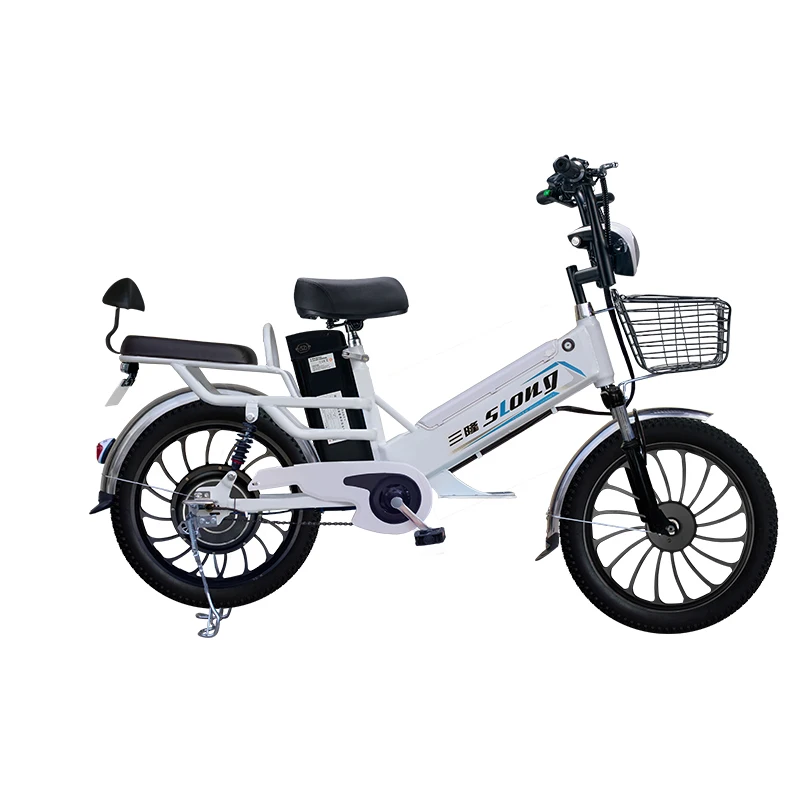 Manufacture,20 Inch Dual Batteries Delivery Electric Bike,Household E-bike,350W 48V Lithium Battery Rider Electric Bicycle,OEM