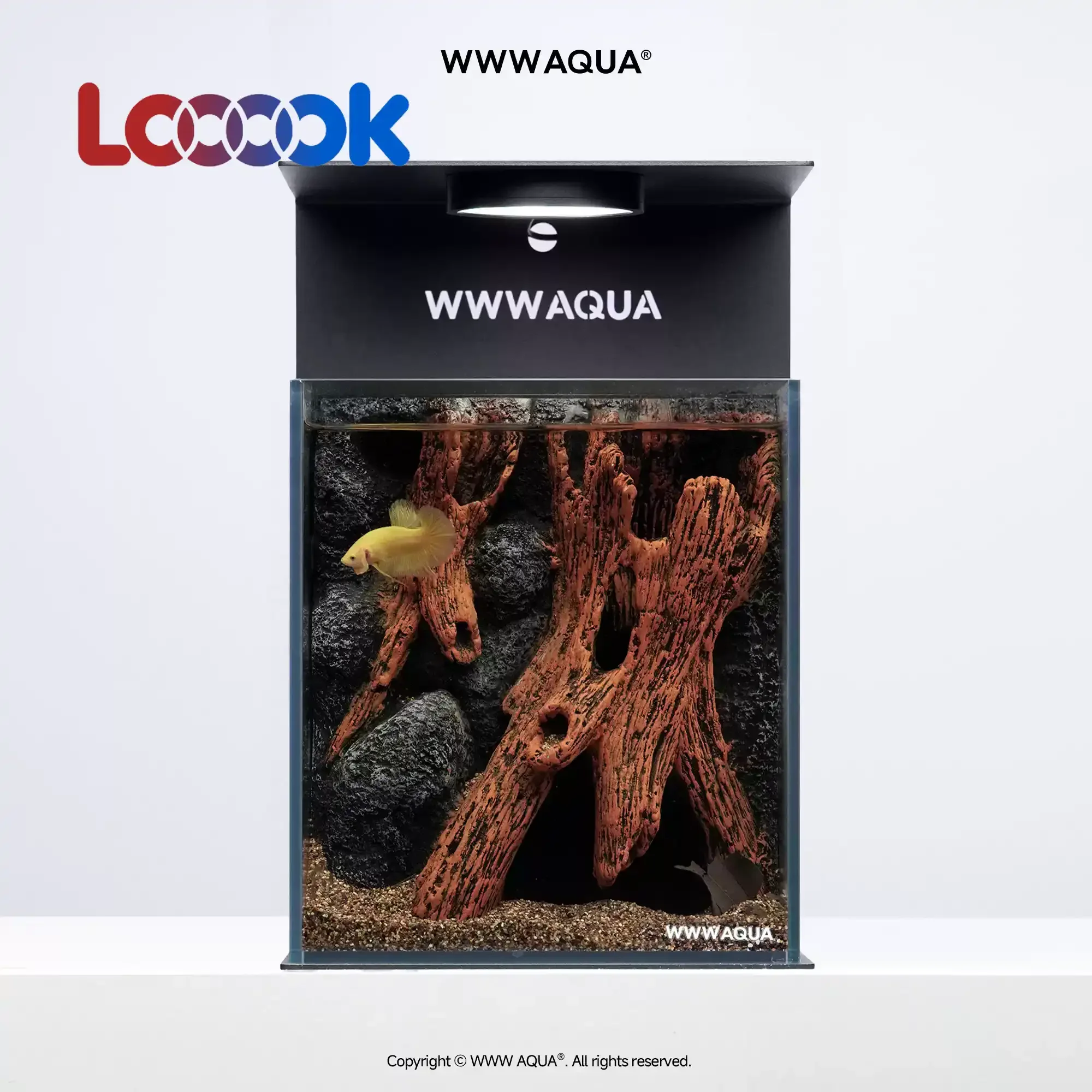 Cosmic Grocery Store Hidden Tree Hollow Desktop Micro-landscape Ecological Betta Tank, High-end Landscape Glass Tank