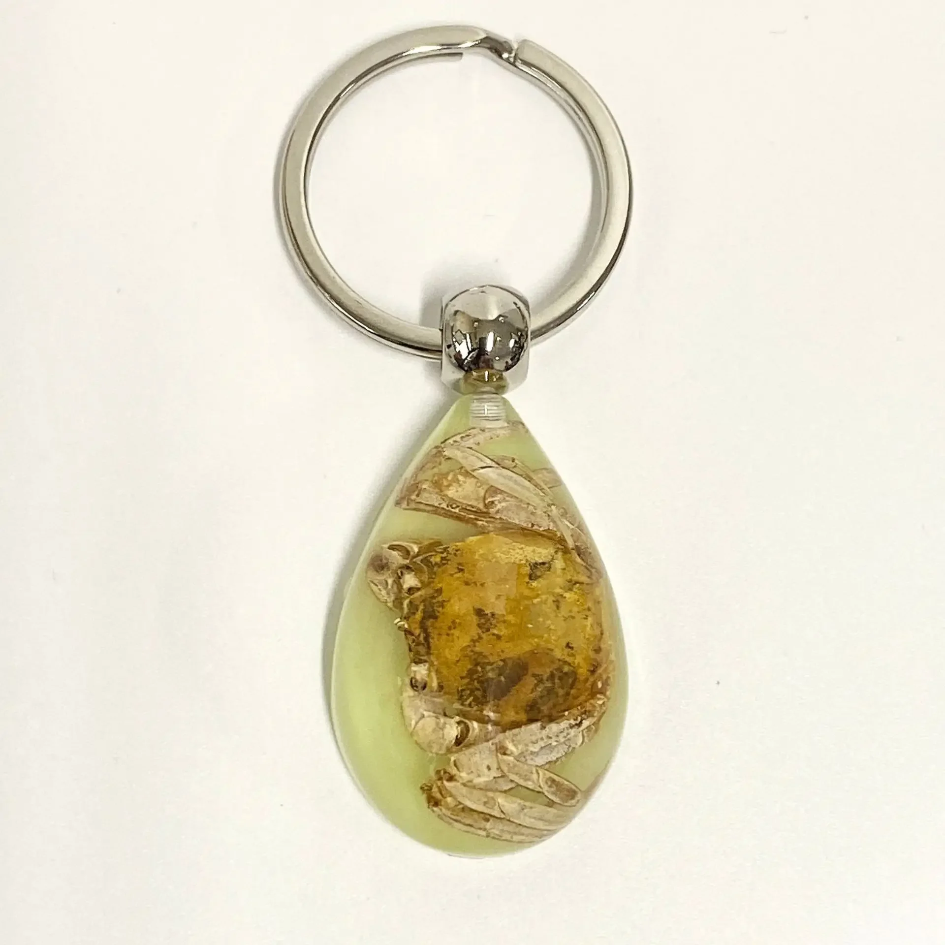 6 stuks insect specimen sleutelhanger, kunstmatige epoxyhars auto hanger, kantoorornament, insect amber hanger woondecoratie