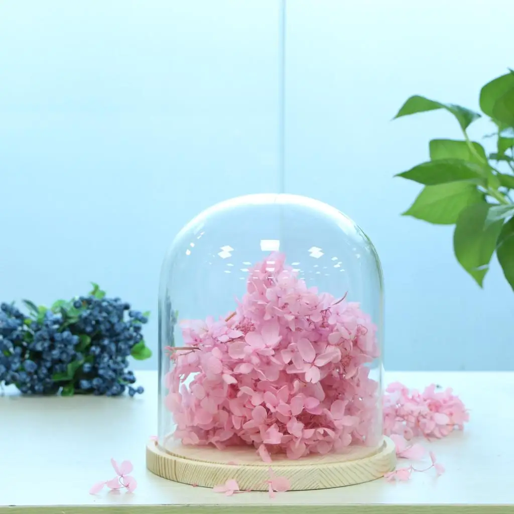 Clear Glass Cover with Wood Base Micro Landscape Vase Cloche for Party and Interior Decoration