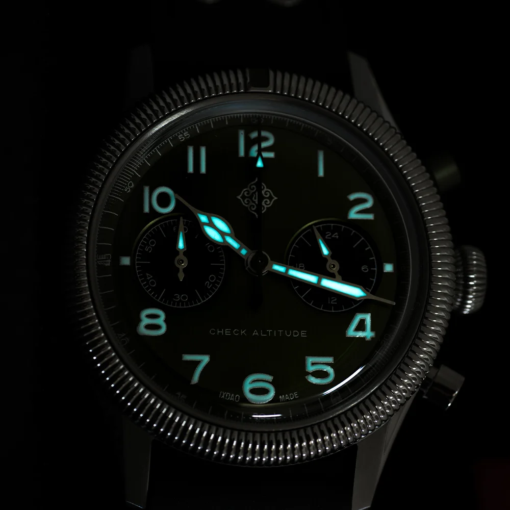 2025 New IXDAO 39mm Pilot Men Quartz Watches Peregrine Falcon