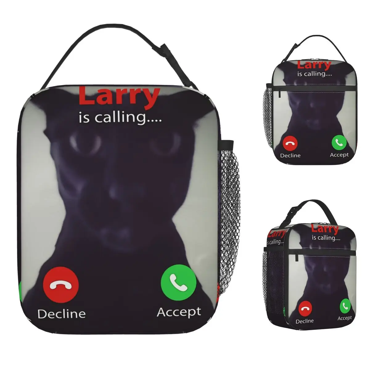 

Evil Larry Cat Dank Brainrot Meme Lunch Bag Kawaii Lunch Box Офисная портативная сумка-тоут для еды для девочек Оксфордская дизайнерская сумка-холодильник
