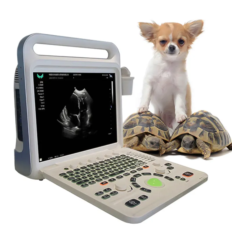 Portable Scans Farm Animals Pets Veterinary Color Doppler Ultrasound With Imaging System Solutions