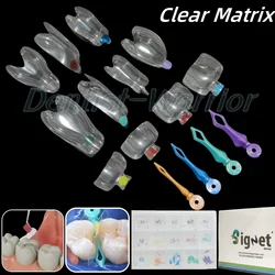 Dental Clear Matrix Diastema Matrices Wedges Similar with BioClear Matrice Fits Bioclear Black Triangle Class Restorative 